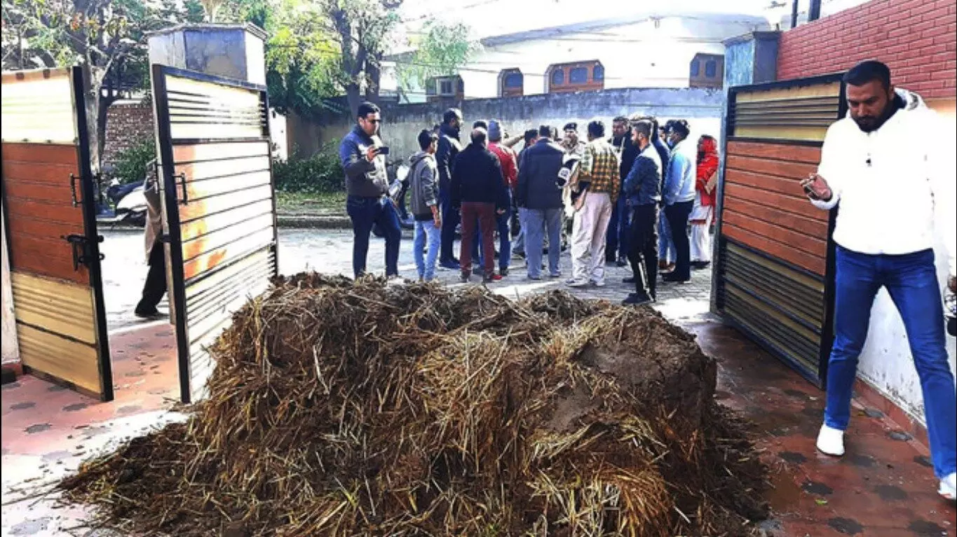 Cow Dung Dumped At BJP Leaders House In Punjab