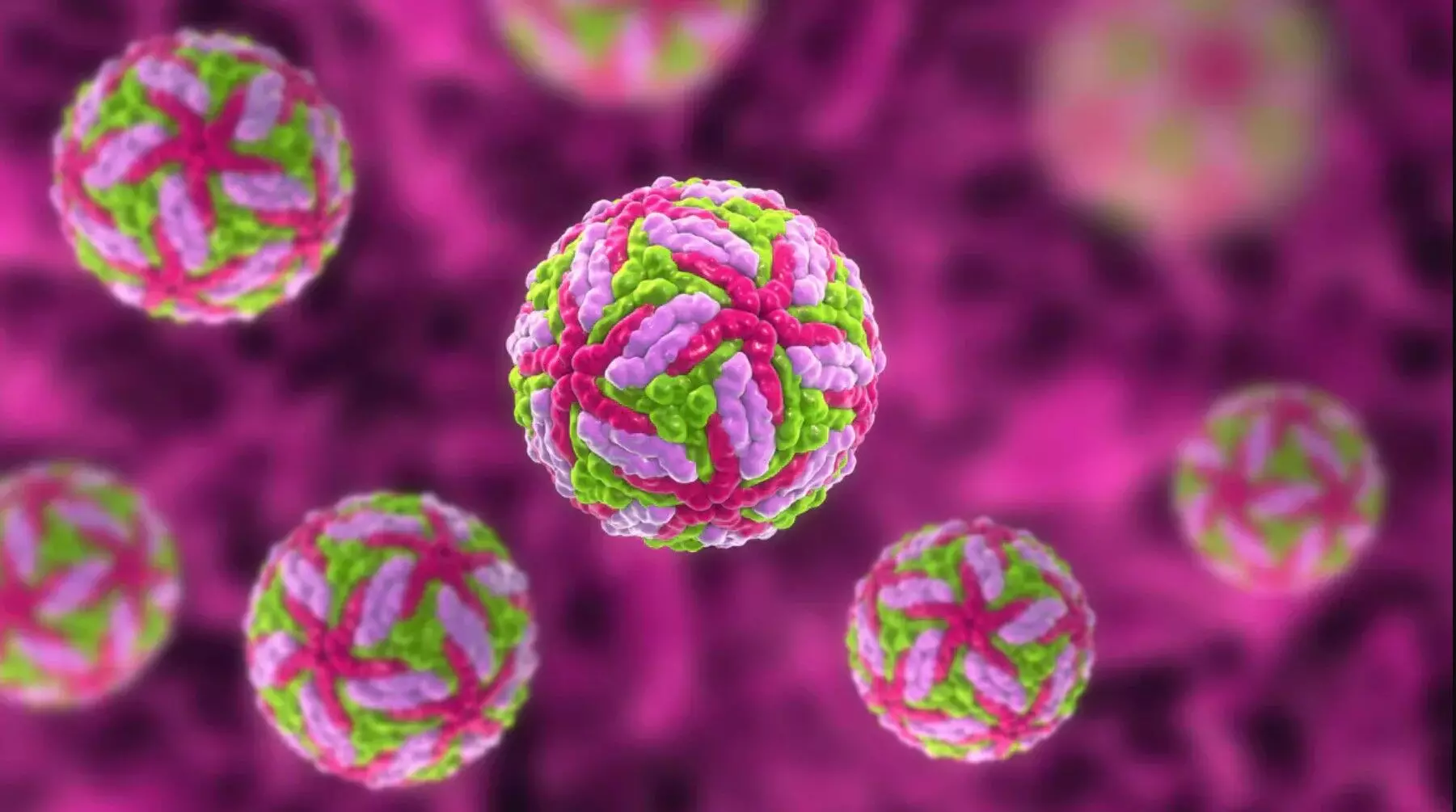 Powassan Virus: अमेरिका में पोवासन वायरस से एक की मौत, जानें इसके कारण, लक्षण और बचाव के तरीके